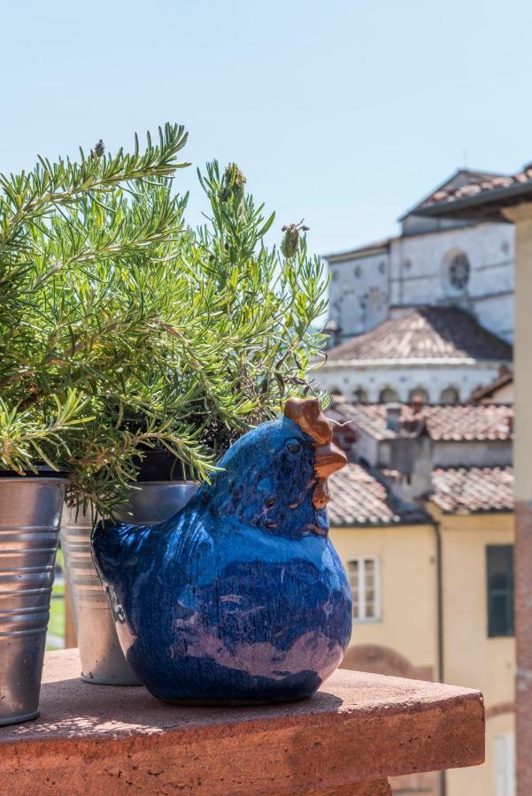Terrazza Coccode' Spazioso Con Vista Mozzafiato! Lucca Bagian luar foto