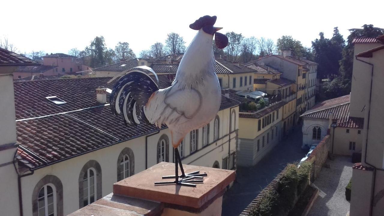 Terrazza Coccode' Spazioso Con Vista Mozzafiato! Lucca Bagian luar foto